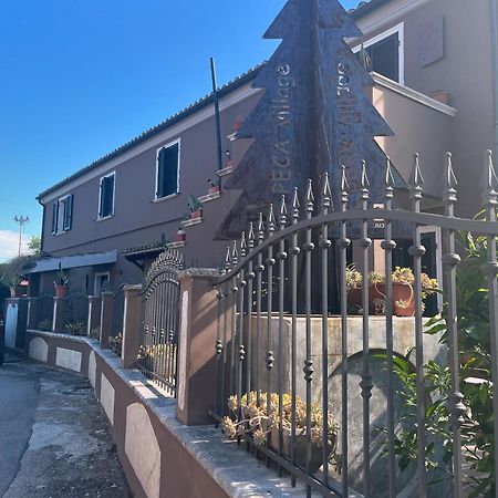 Sinilu B&B Silvi Paese Bagian luar foto