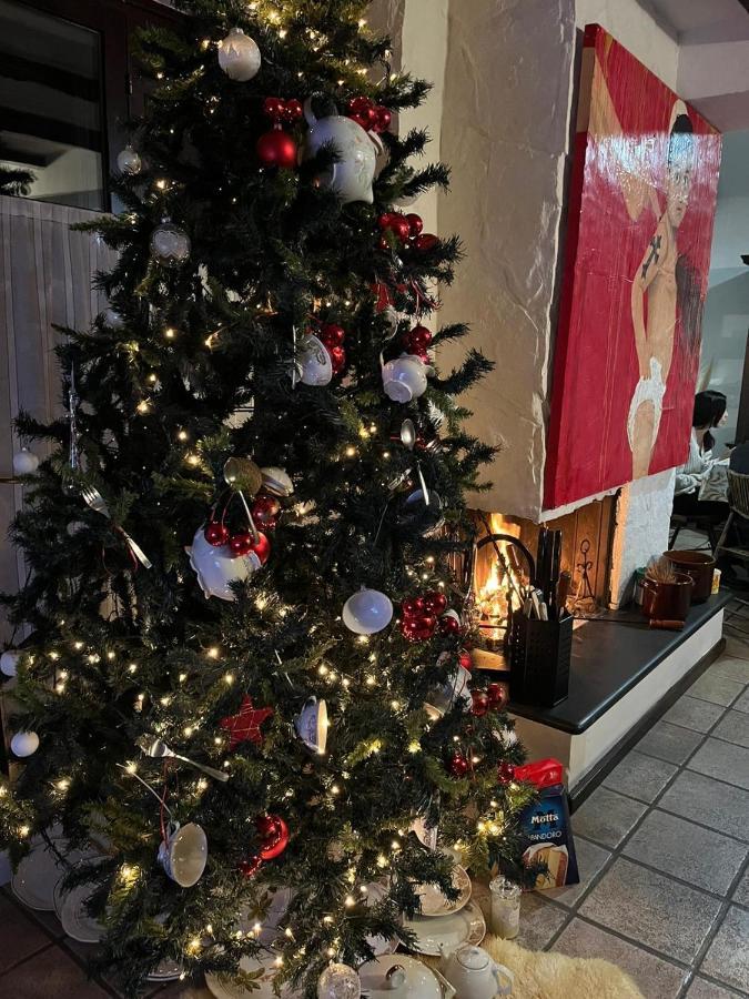 Sinilu B&B Silvi Paese Bagian luar foto